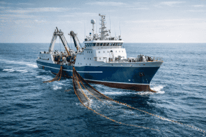 Plan Publicación Pro